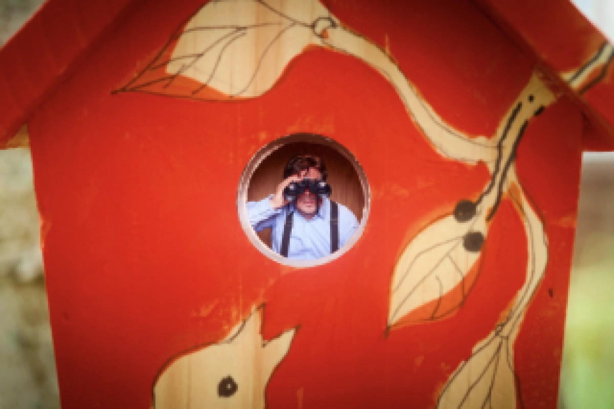 NEST: de voorstelling